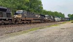 NS 4443